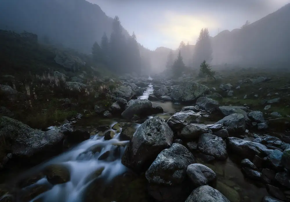 Bruzzone, Alfredo: Ethereal Autumn