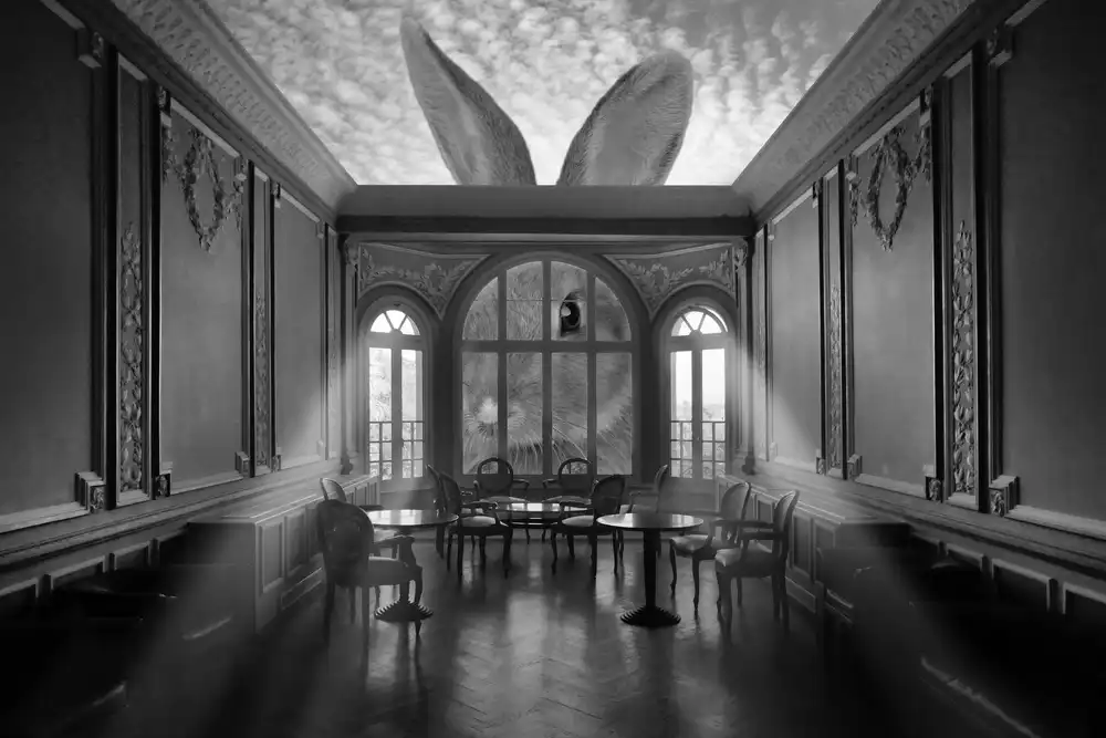 Marcel, Christian: In a rabbits world