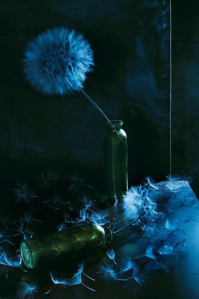 Nataly, Golubeva: Summer blues