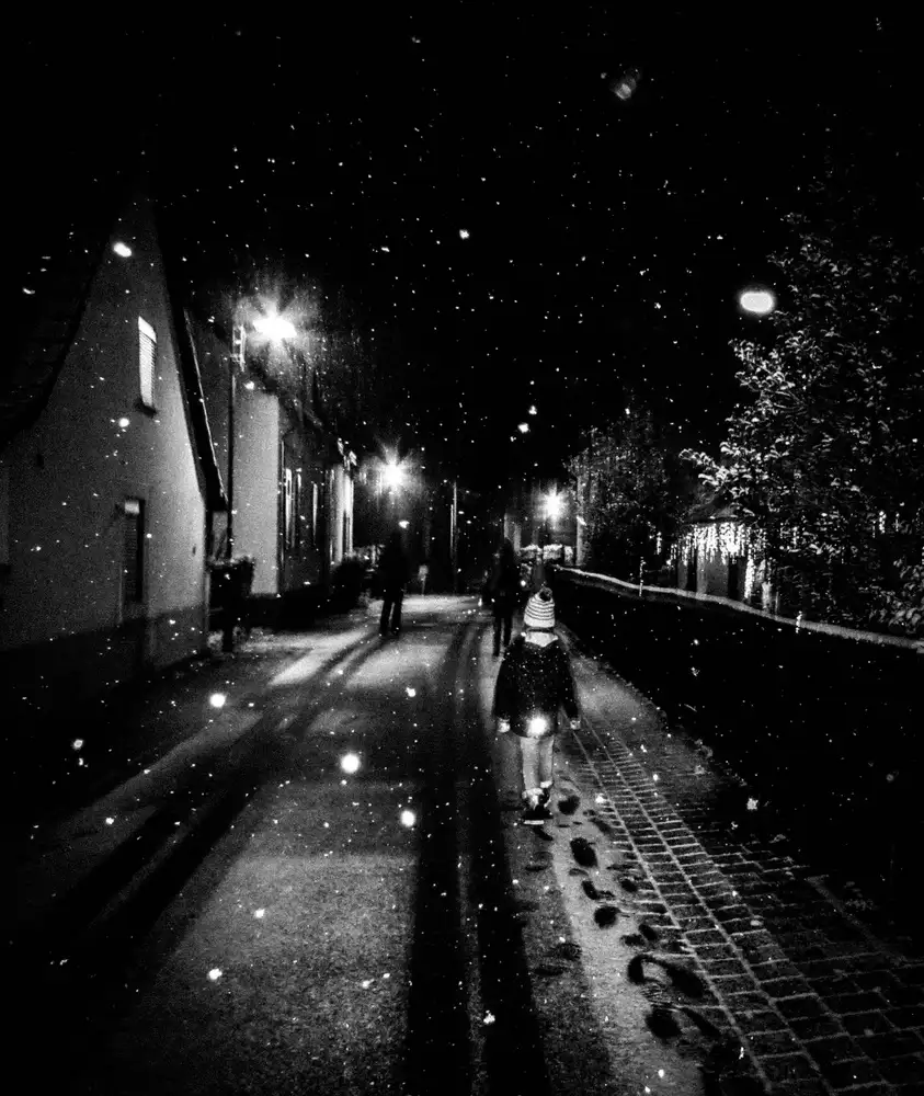 Kleimann, Stephanie: snow by night