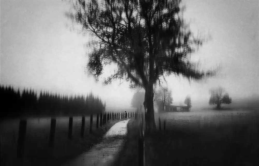 Dauria, Adam: Poetry Of Silence