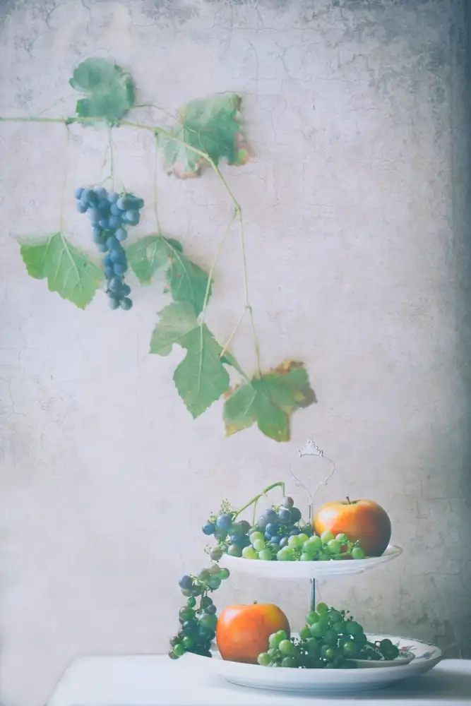 Devos, Delphine: Autumn is Here