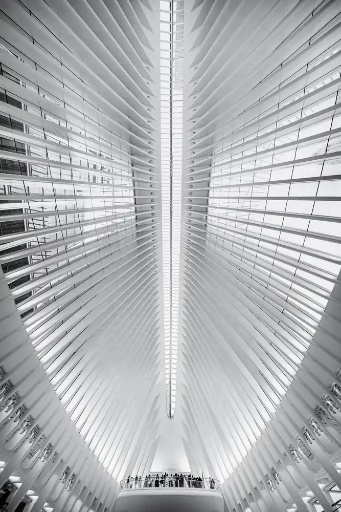 Tagliarino, Marco: Oculus