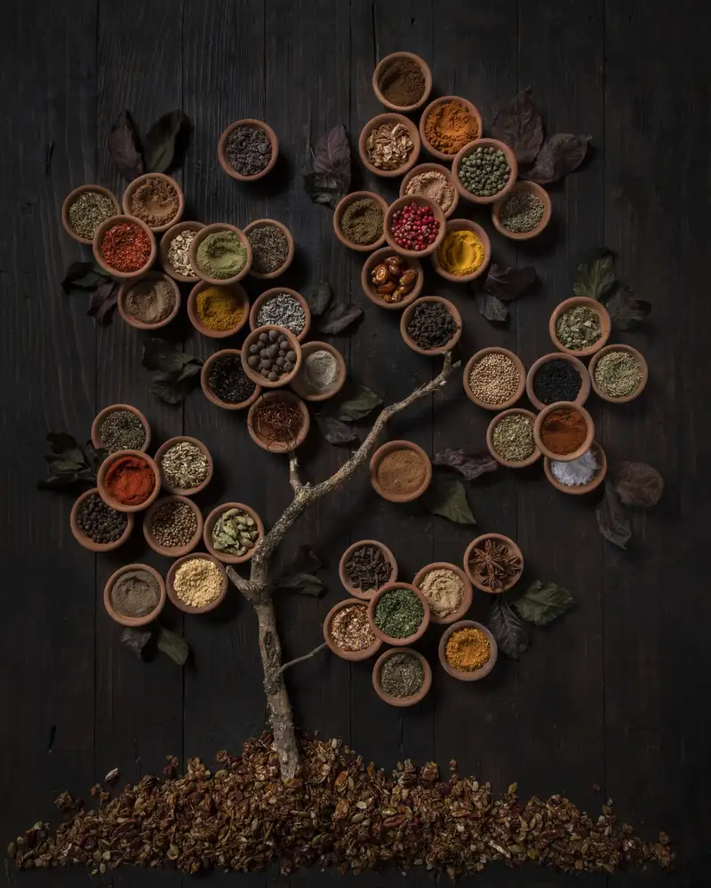 Popescu, Diana: Tree of spice