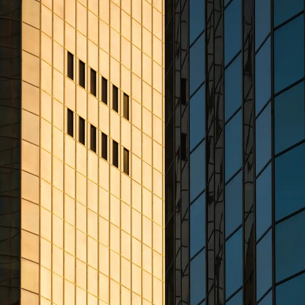 Hammer, Jacqueline: Evening Contrasts