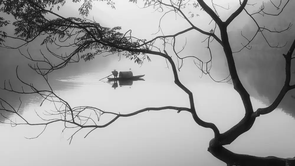 Z, Bingo: Nebbia
