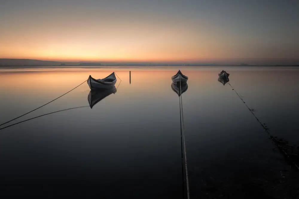 Faria, Marco: ***