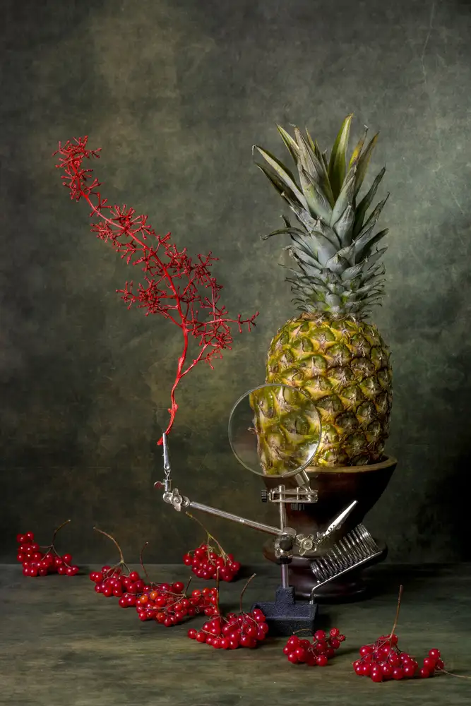 Barkow, Brig: Natura morta con viburno e ananas