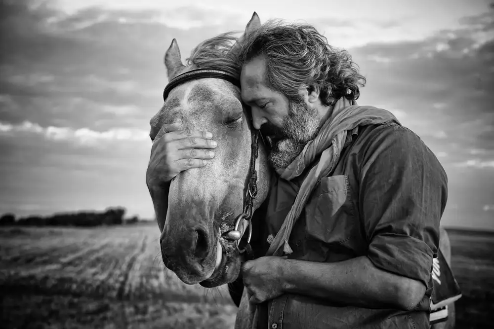 Mete, Gilcan: share sorrow
