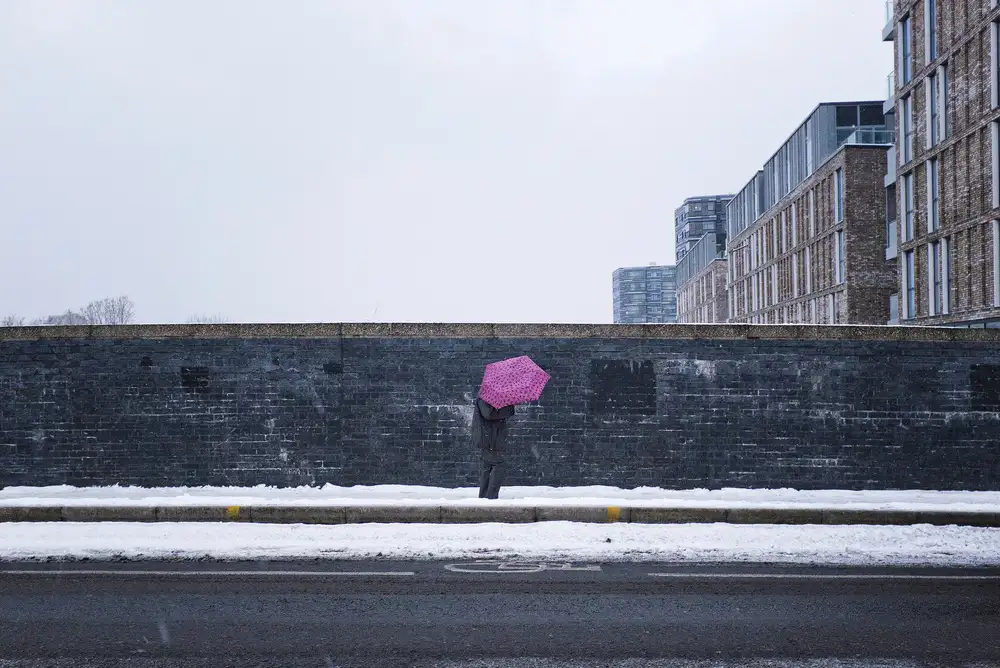 Grifantini, Lorenzo: The pink umbrella