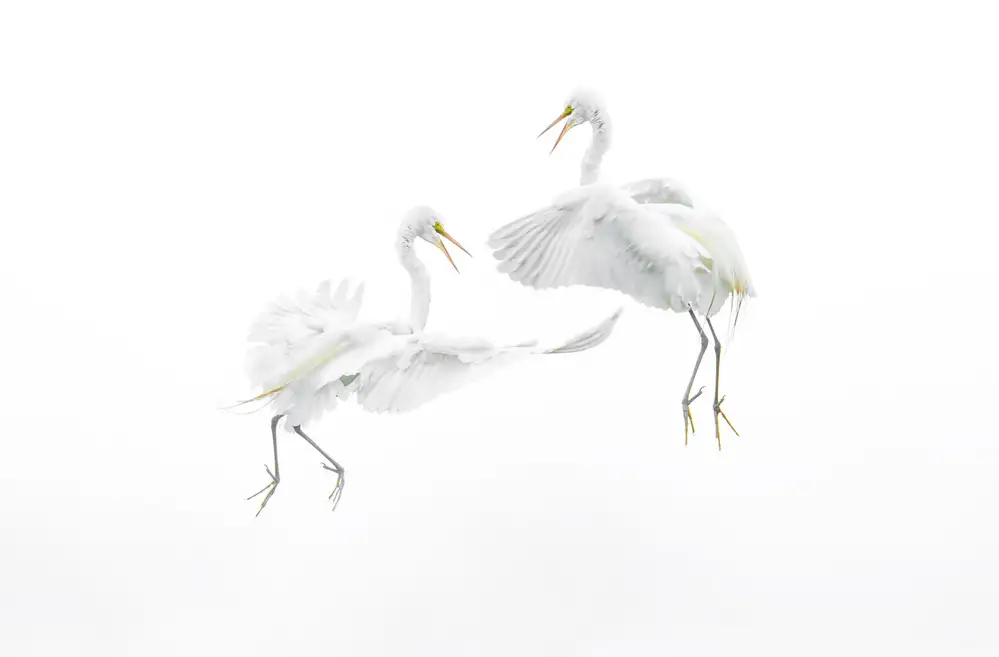Deng, Larry: Sky dance