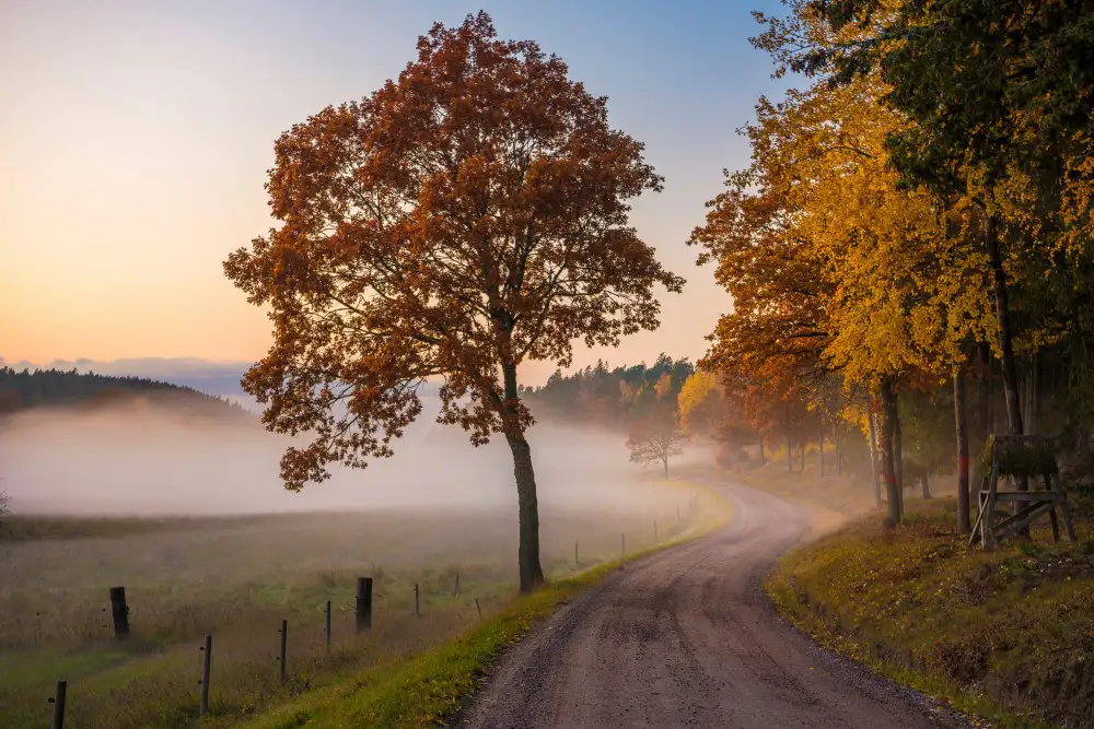 Lindsten, Christian: Countryside vibes