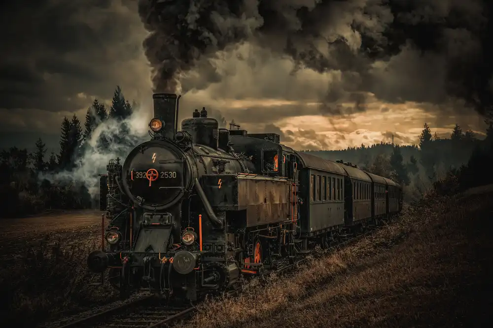 Bichler, Hubert: Train chercheur d'or