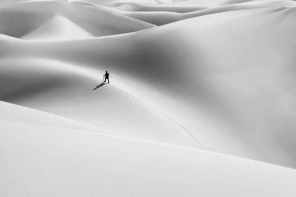 Jamshidian, Hamid: shadow of the desert