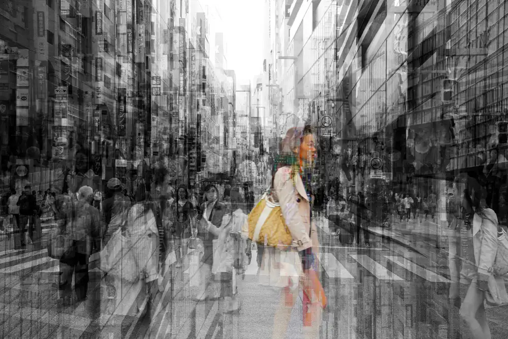 Shrayer, Igor: Lost in Tokyo