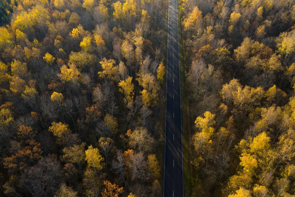 Doronin, Dmitry: Road
