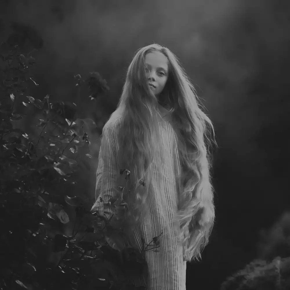 Masarz, Małgorzata: Schmetterlinge