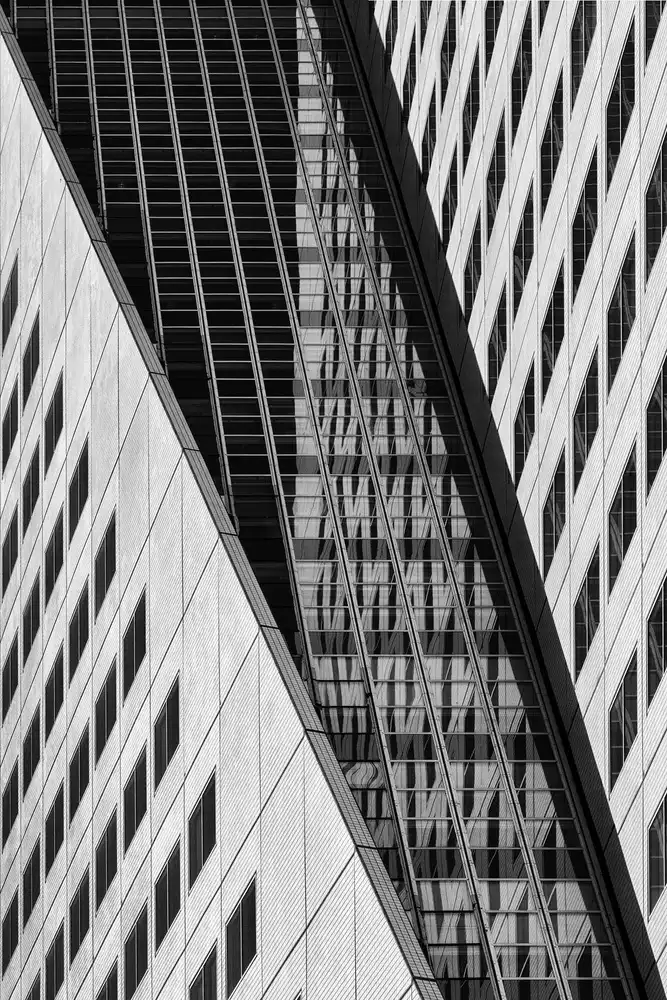 Luycx, Theo: Reflection in black