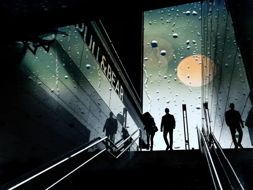 Momanu, Mirela: Full Moon