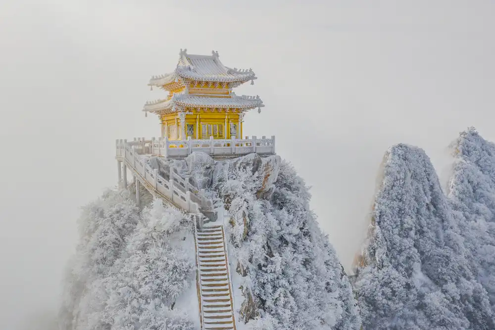 Simoon: Golden roof