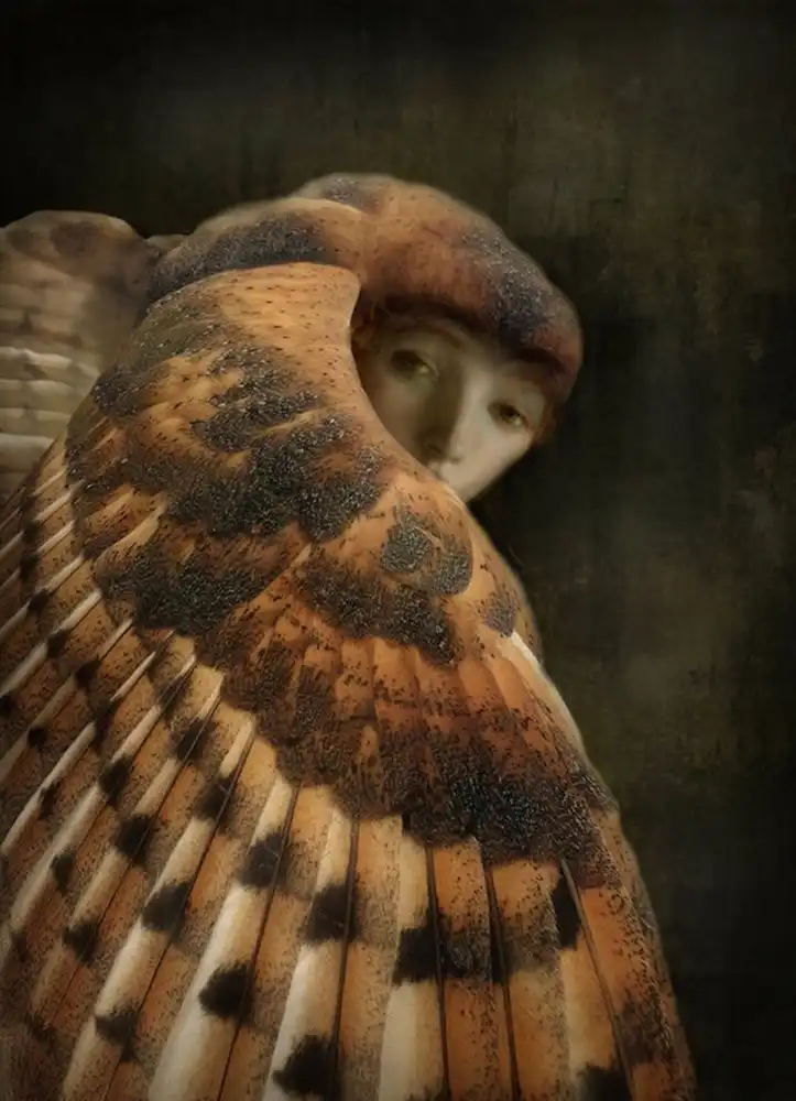 Hummel, Jeffrey: harpy