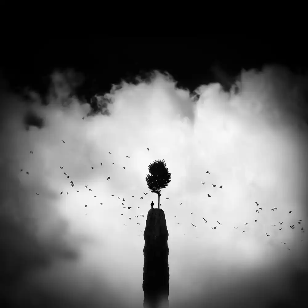 Keller, Nic: Wonderful view