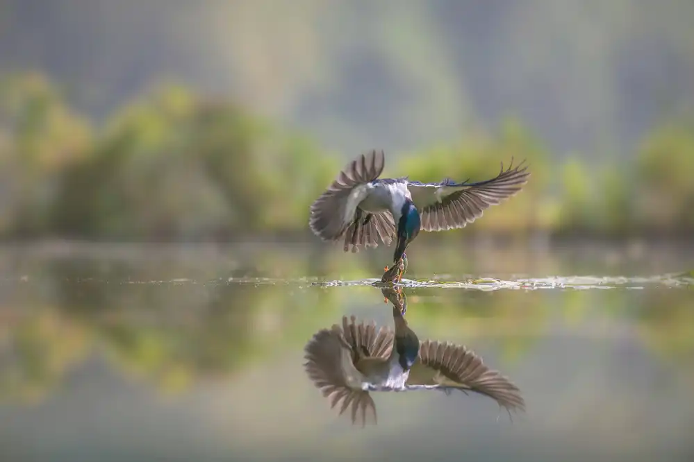 Song, Gunarto: Smooth landing