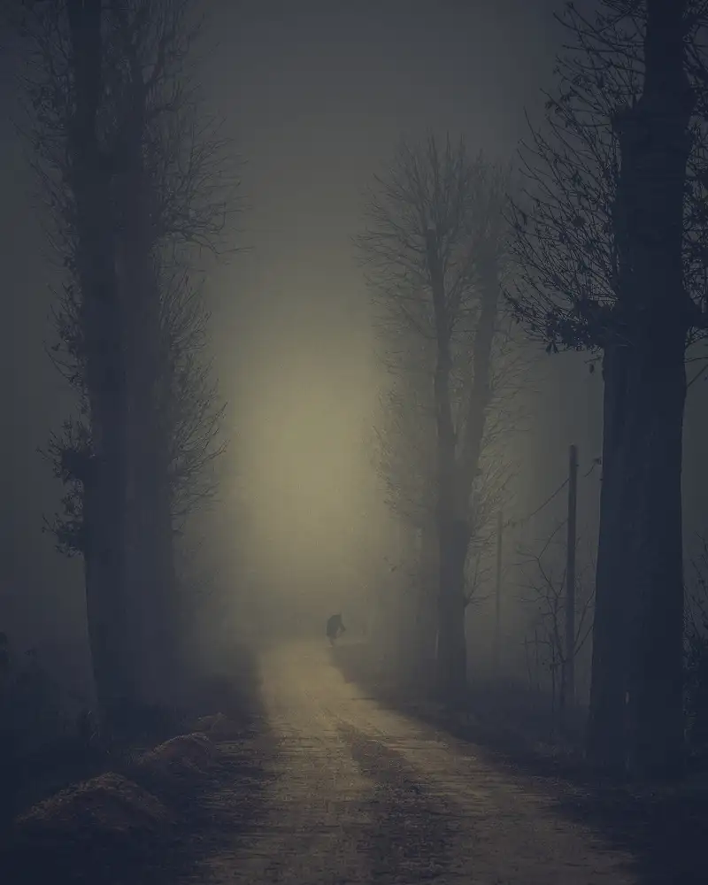 Fraccaroli, Andrea: Man in the fog