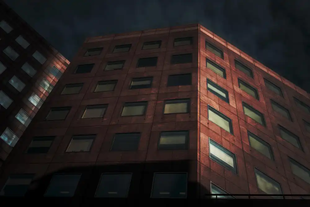 Hamilton, Chris: Light in the city.