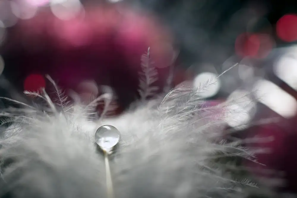 Doronin, Dmitry: Stories of drops