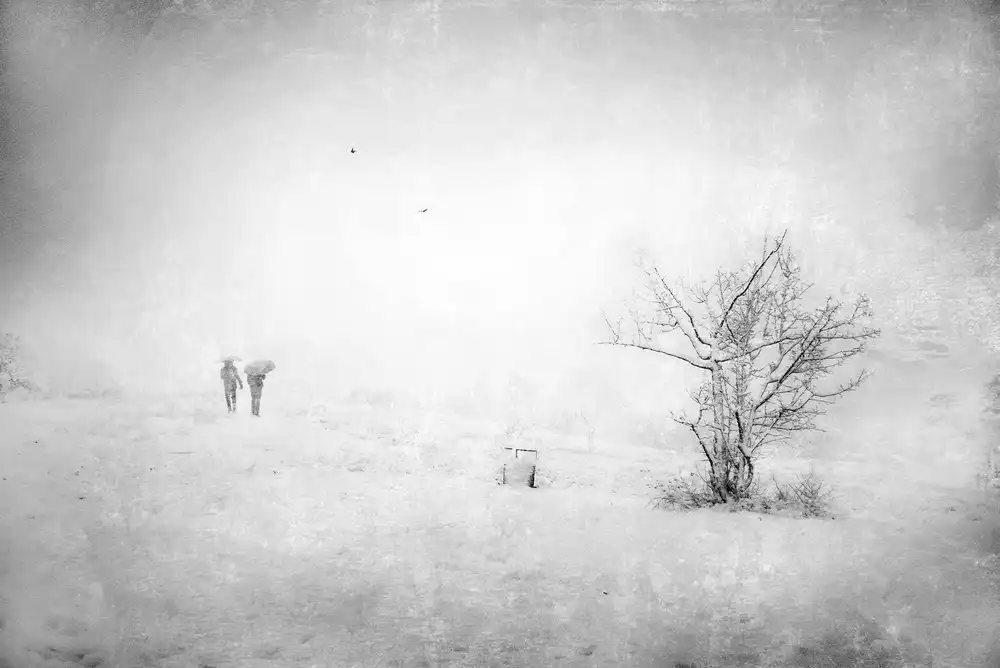 Quaglia, Nicodemo: De la neige dans le parc
