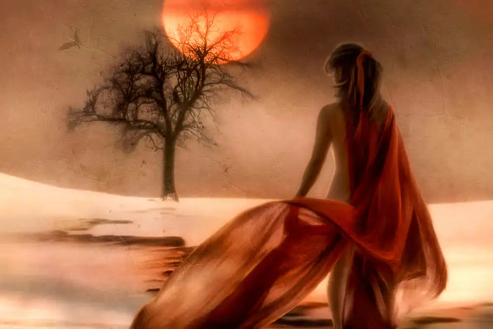 Gerber, Charlaine: ...come il sole attraverso gli alberi sei arrivato ad amarmi..