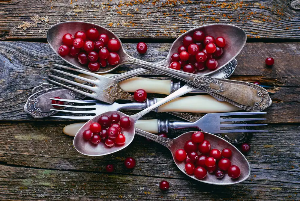 Karina, Aleksandrova: Spoons&Cranberry