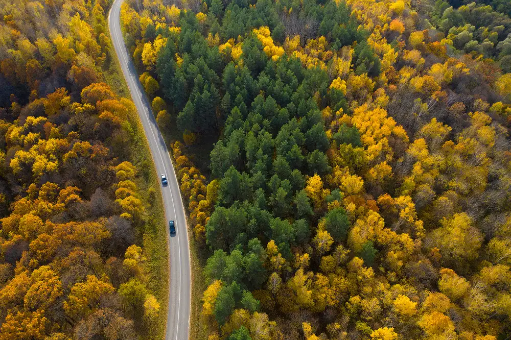 Doronin, Dmitry: Bright moments of autumn