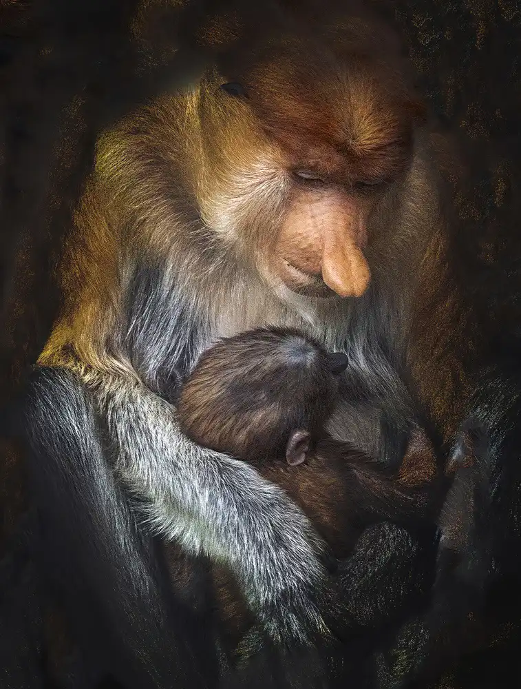 Bunjamin, Antonyus: Loving Mother