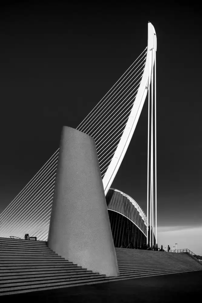 Silveira, Fernando: The harp