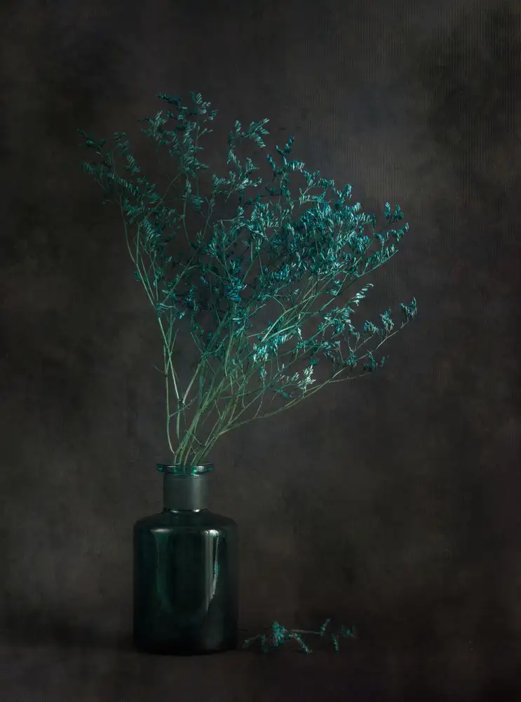Kiral, Cicek: Blaue Linien