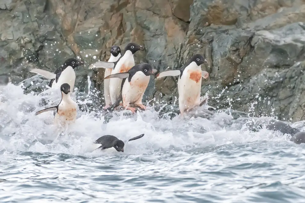 Wei, and Siyu: Corre hacia el mar 2