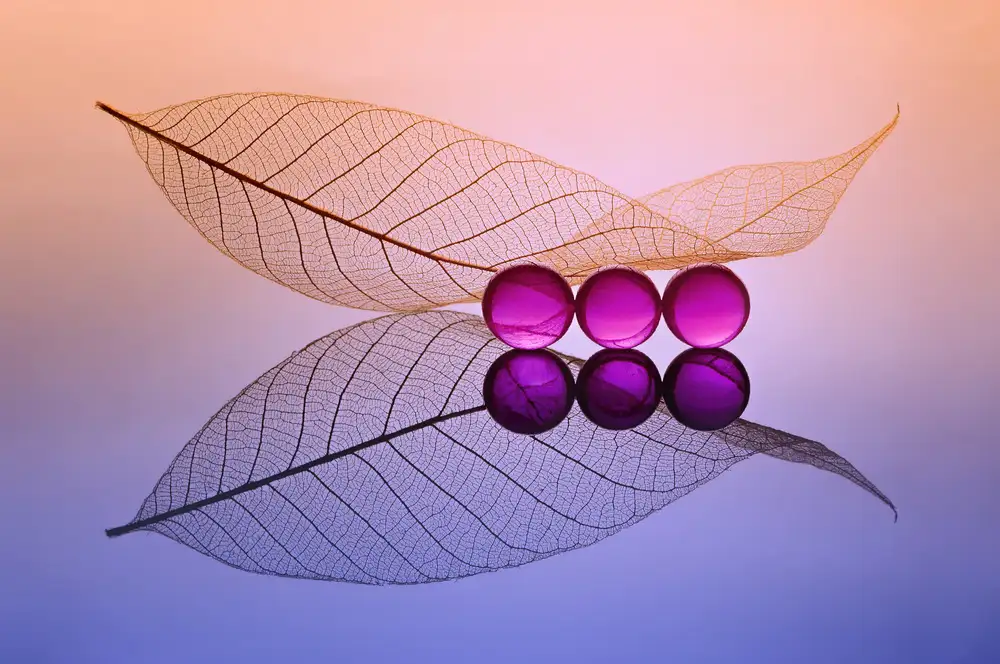 Pamungkas, Edy: Three Buble and leaf