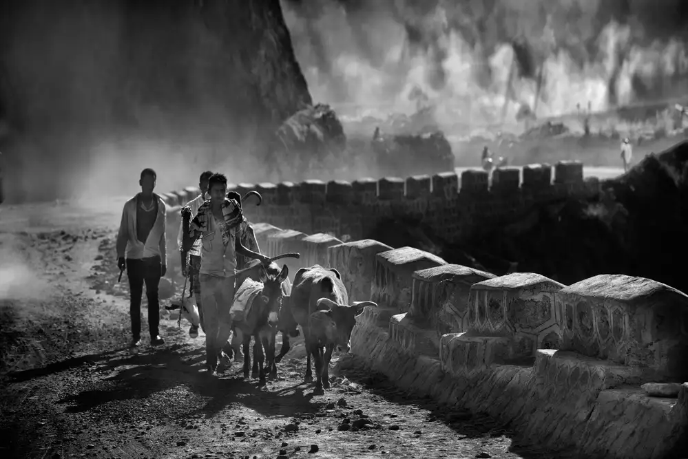 Cavalli, Giovanni: Dust, people and animals