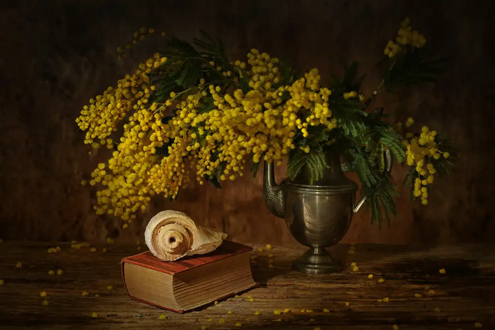 Dingemans, Saskia: Vita stel con mimosa