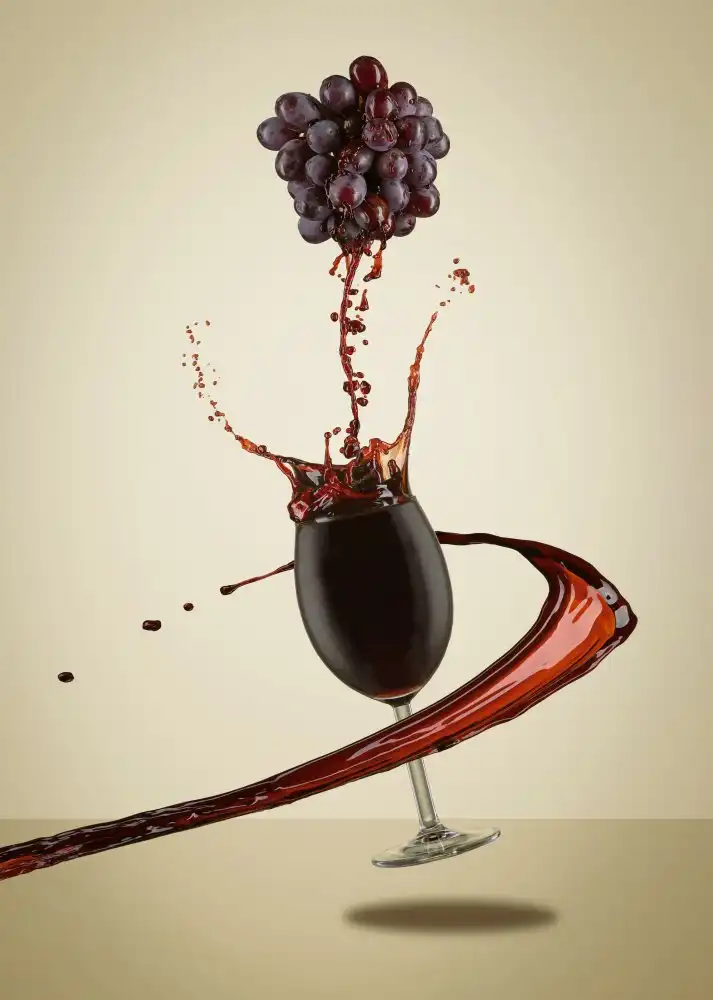 Sabat, Marc: Making wine