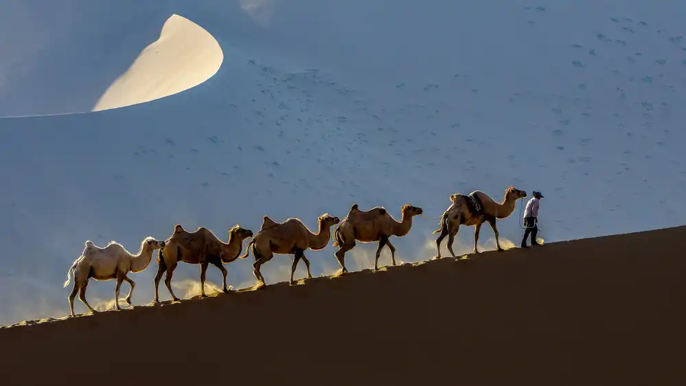 Woo, Shin Ryu: Badain Jaran Desert-4