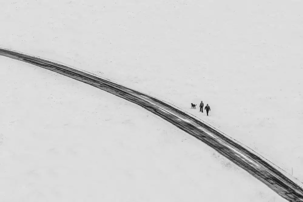 Lapcevic, Dragan: Way in winter
