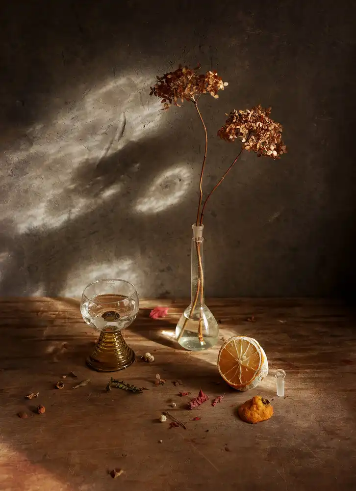 Pneuma, Ala: with limoll and hydrangea february light