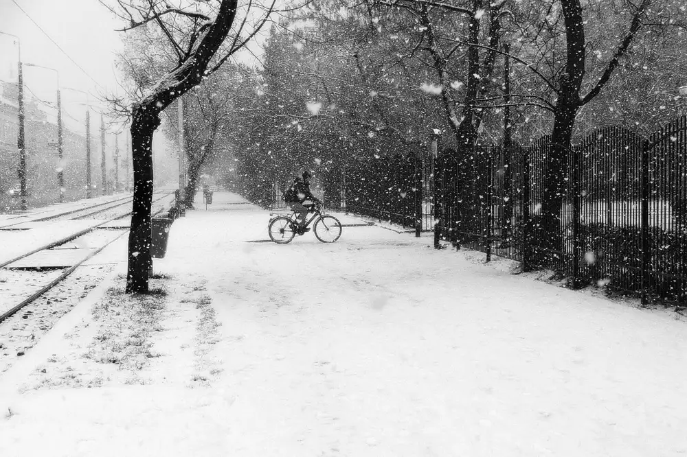 Gabor, Nicoleta: winter passengers