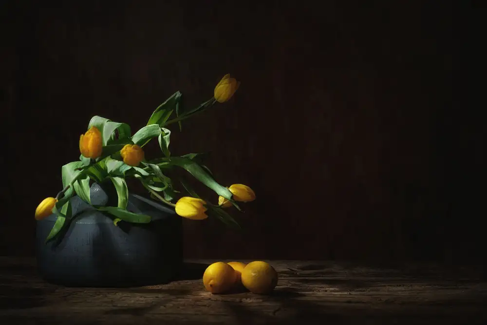 Dingemans, Saskia: Nature morte aux tulipes jaunes