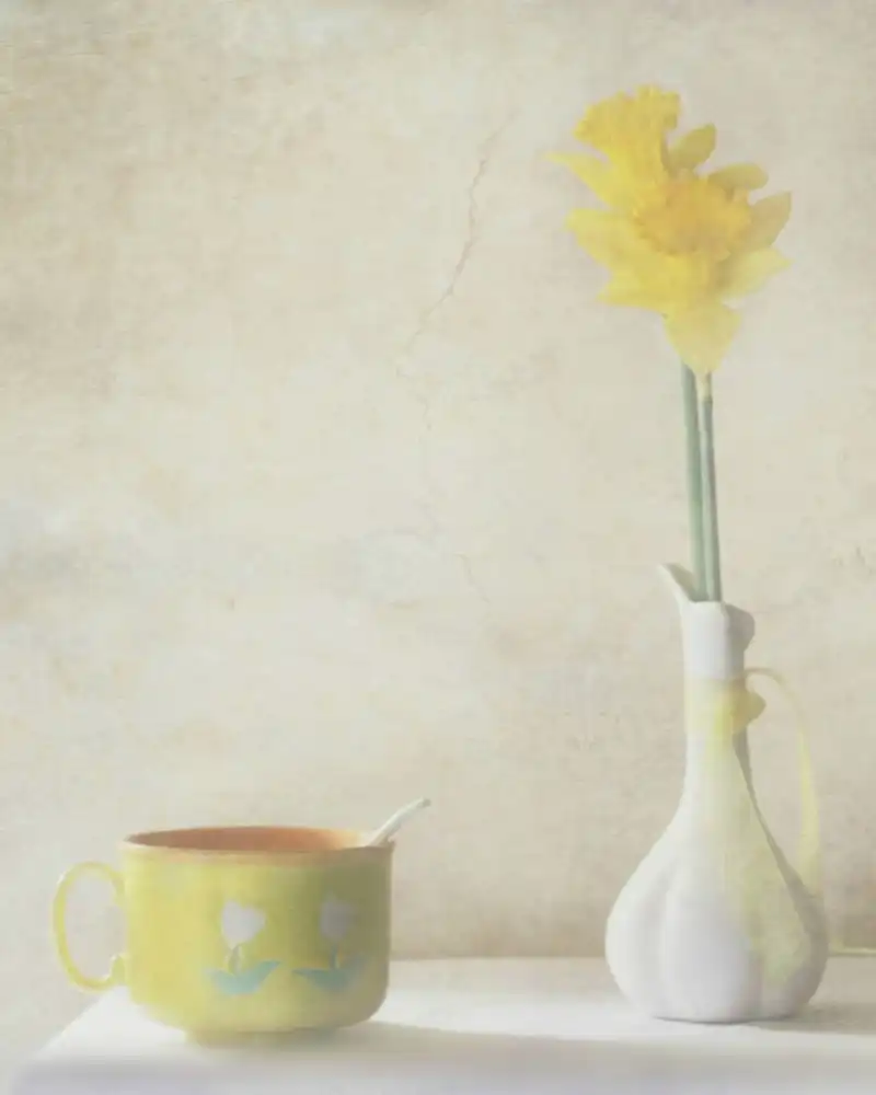 Devos, Delphine: Daffodils