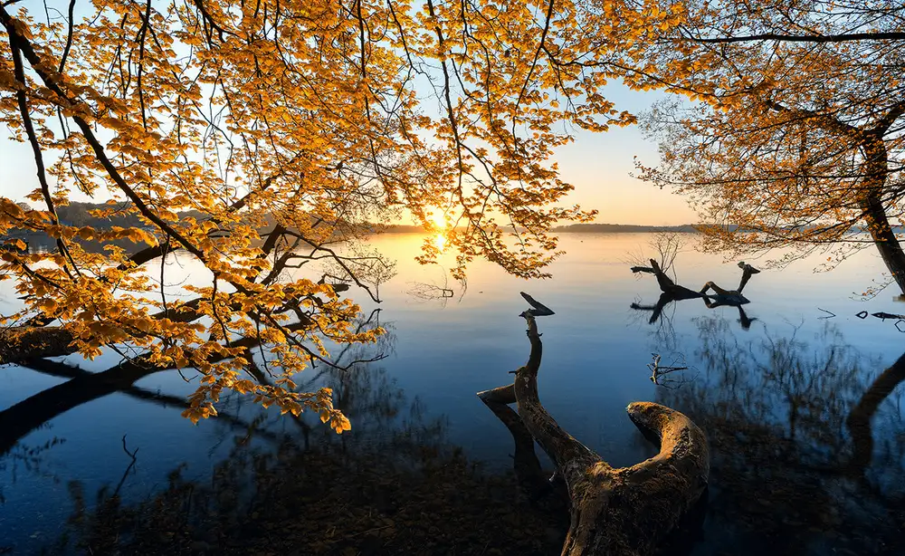 keller: Autumn Morning