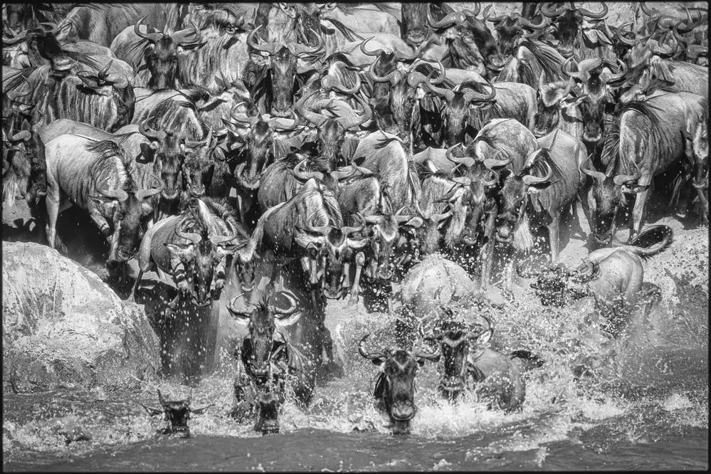 Sink, C. Jeffrey: L'incrocio